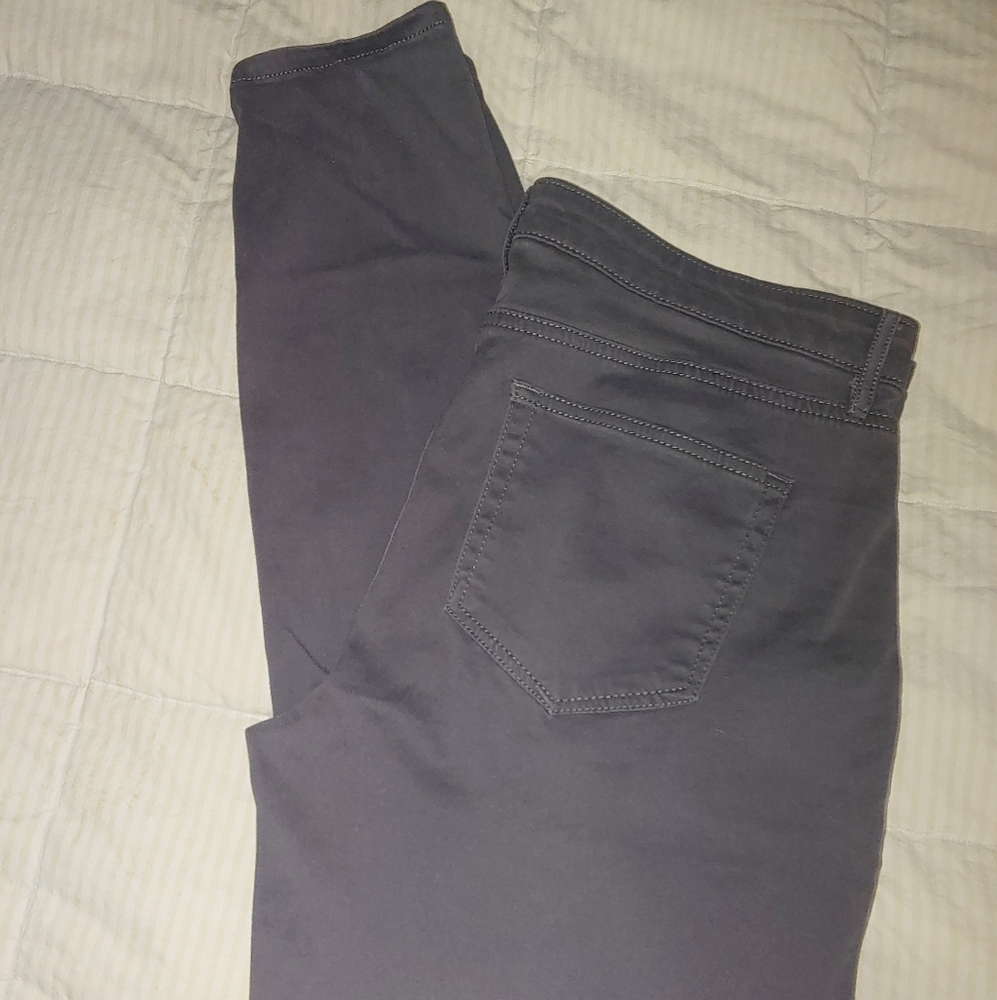 Loft Gray Pants